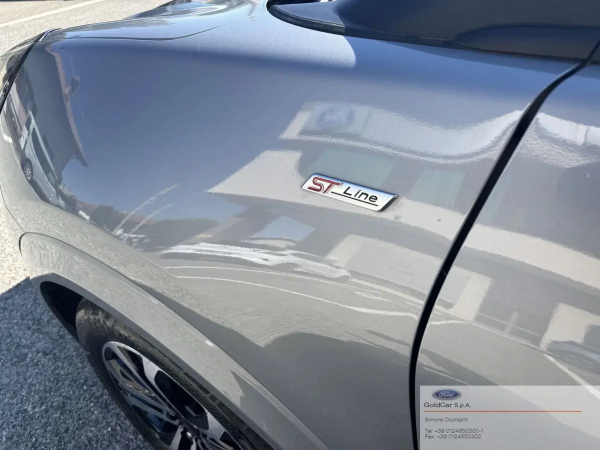 Ford Puma usata a Torino (20)