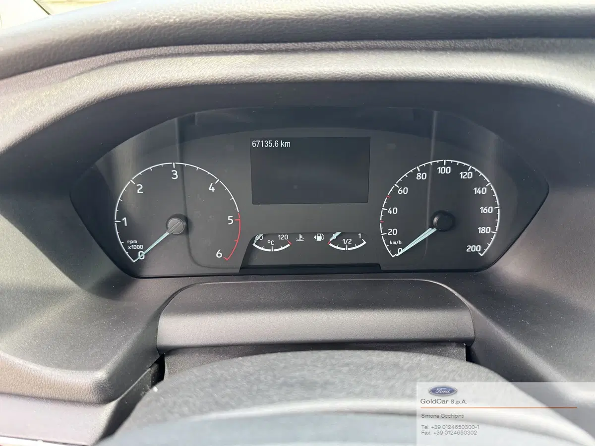 Ford Tourneo Custom usata a Torino (15)