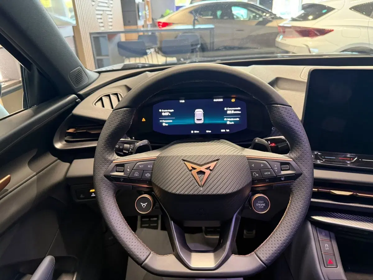 Cupra Terramar nuova a Lecco (8)