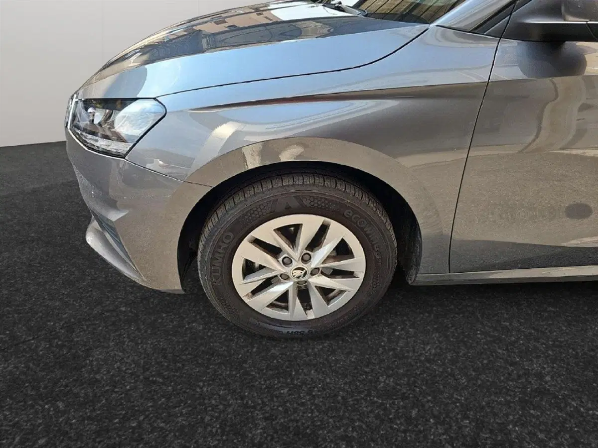 Skoda Fabia usata a Lecco (17)