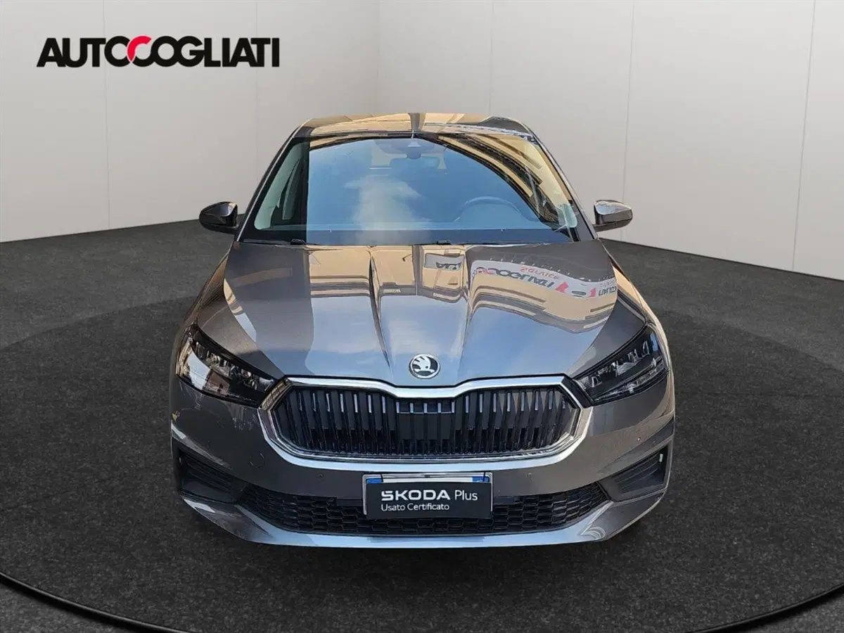 Skoda Fabia usata a Lecco (2)