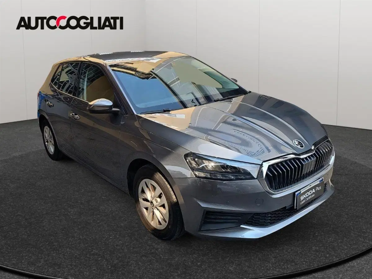 Skoda Fabia usata a Lecco (3)