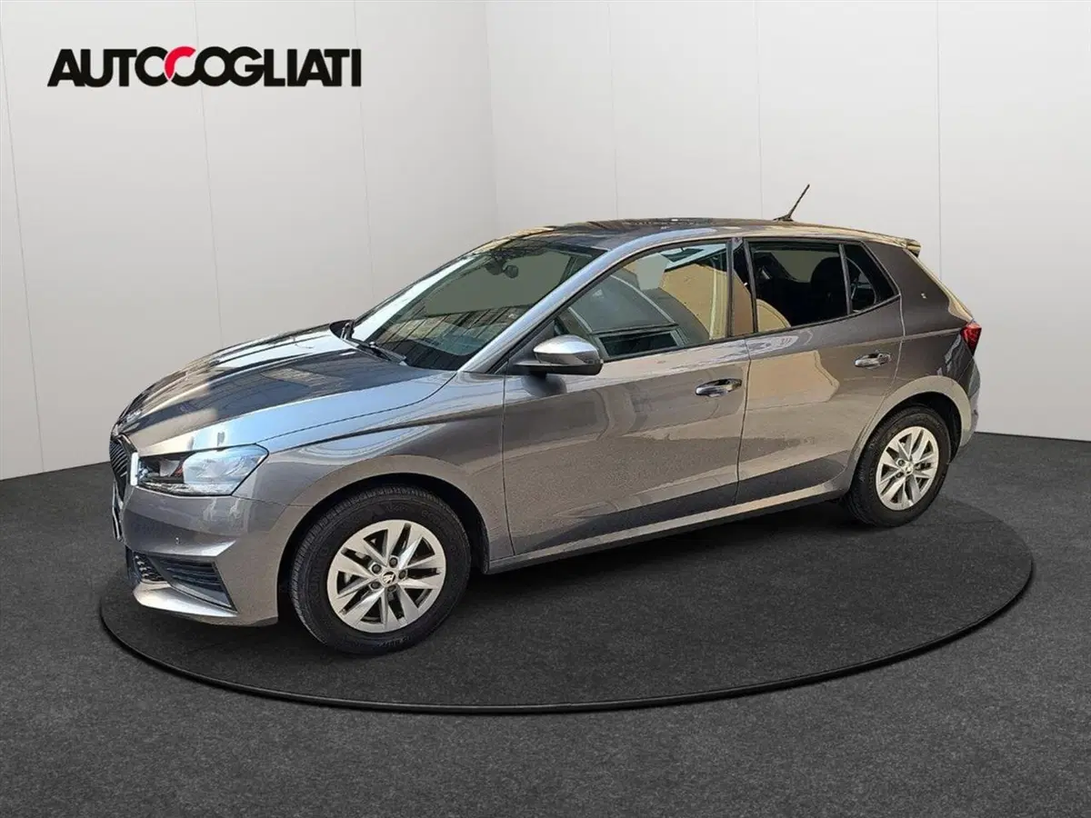 Skoda Fabia usata a Lecco (4)