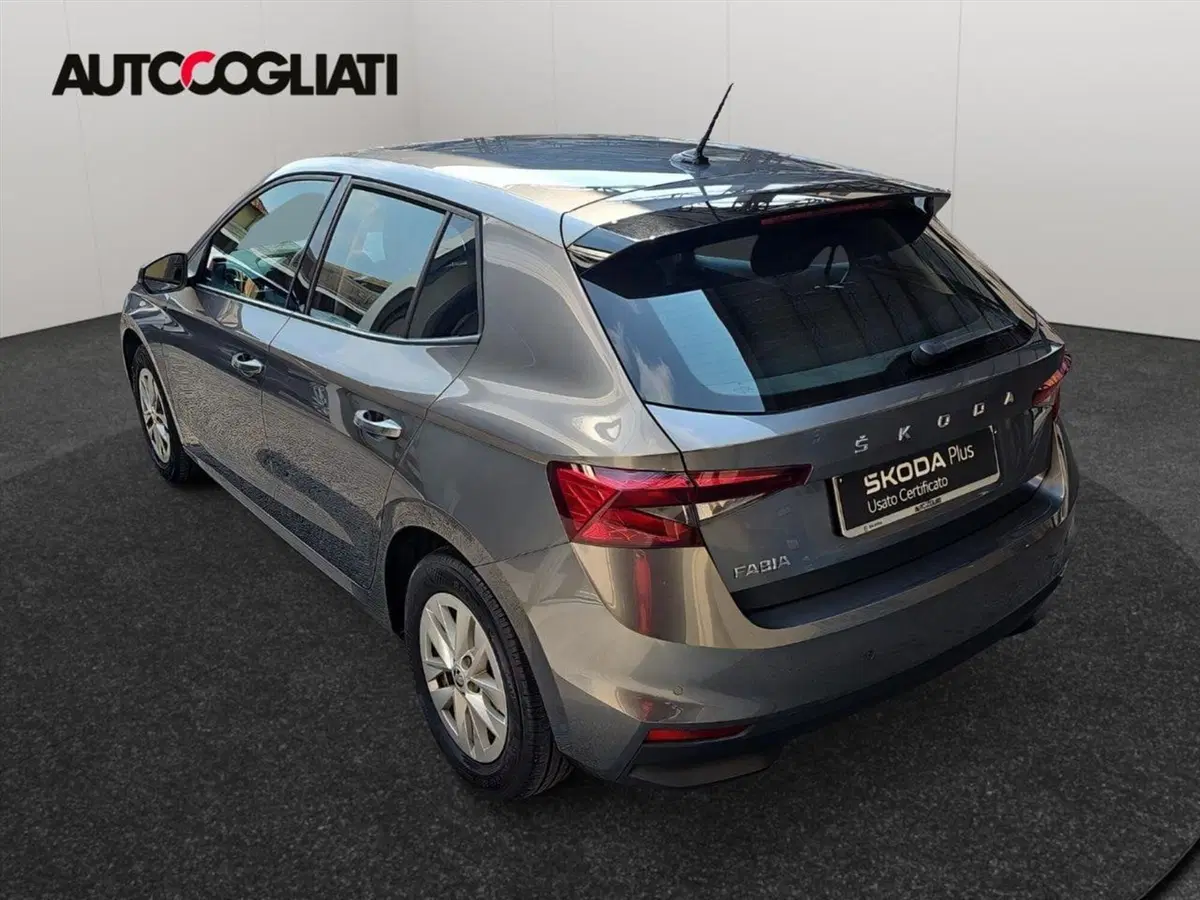 Skoda Fabia usata a Lecco (6)