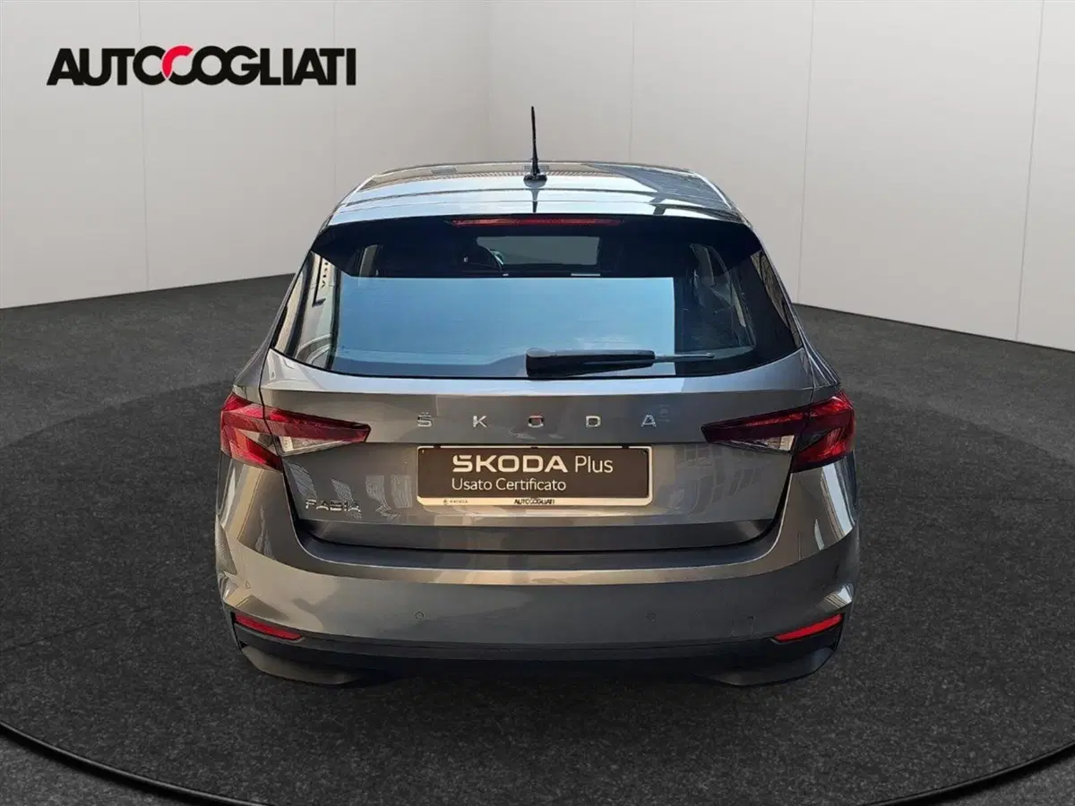 Skoda Fabia usata a Lecco (7)