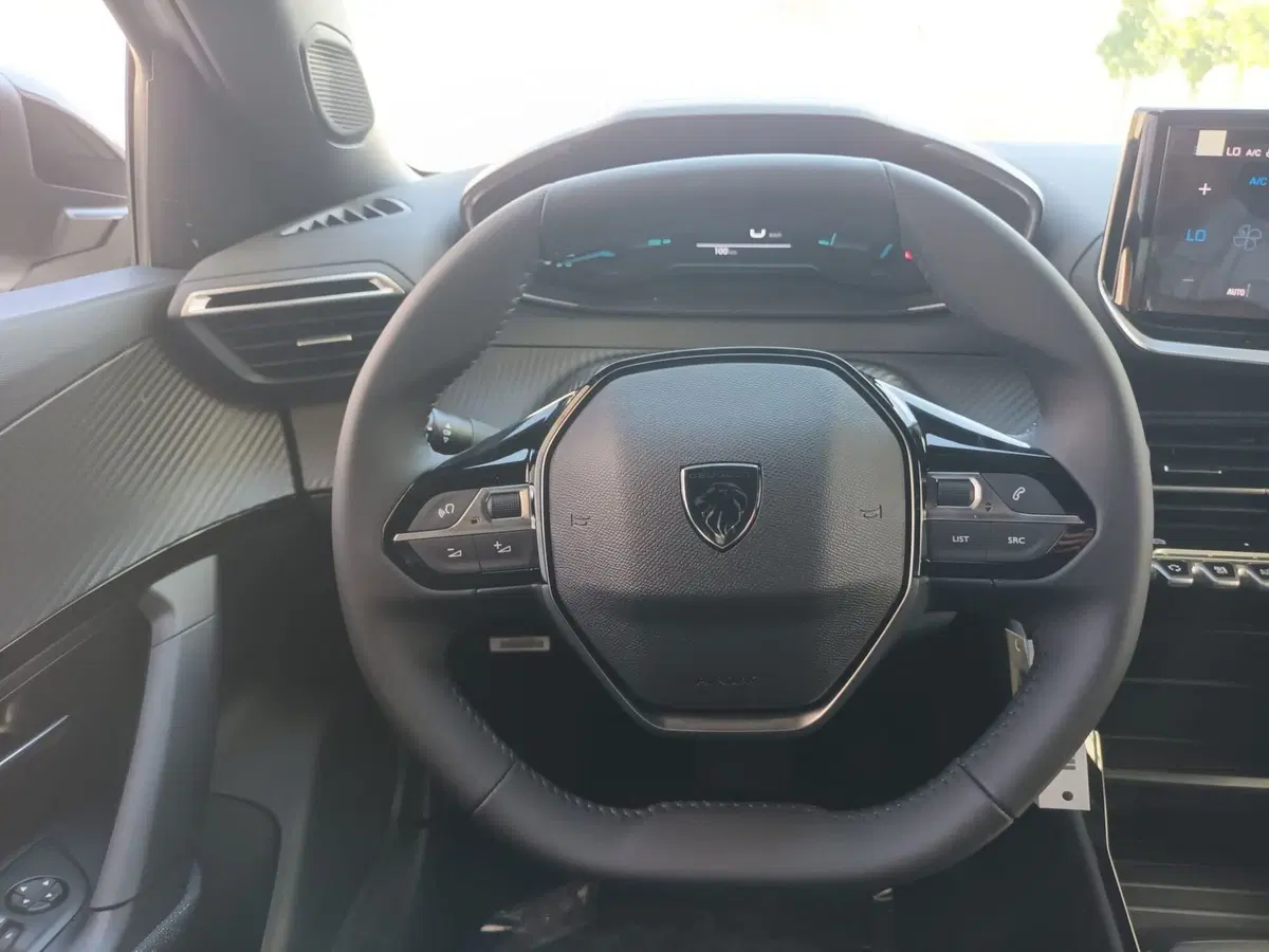 Peugeot 2008 nuova a Bari (13)