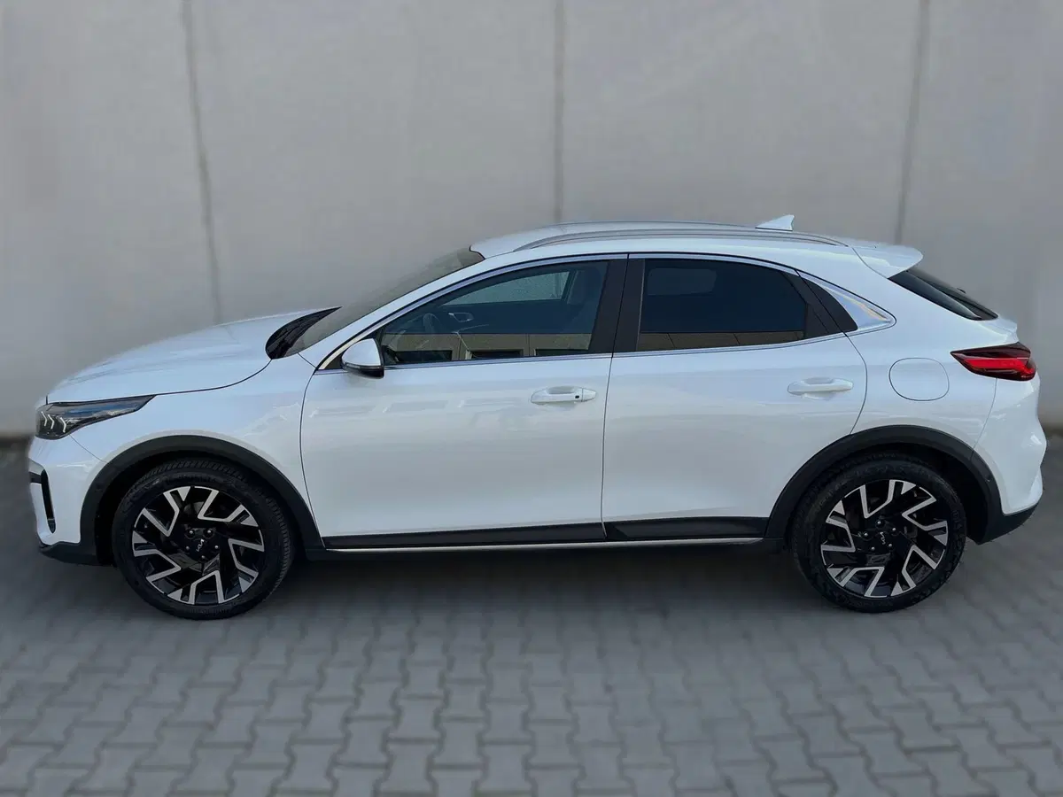 Kia XCeed usata a Ferrara (3)