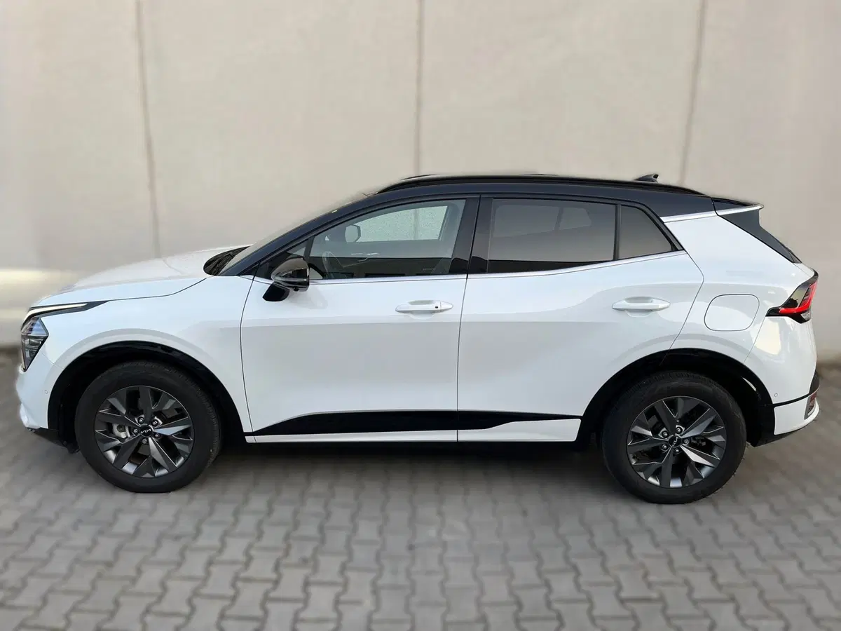 Kia Sportage usata a Ferrara (3)