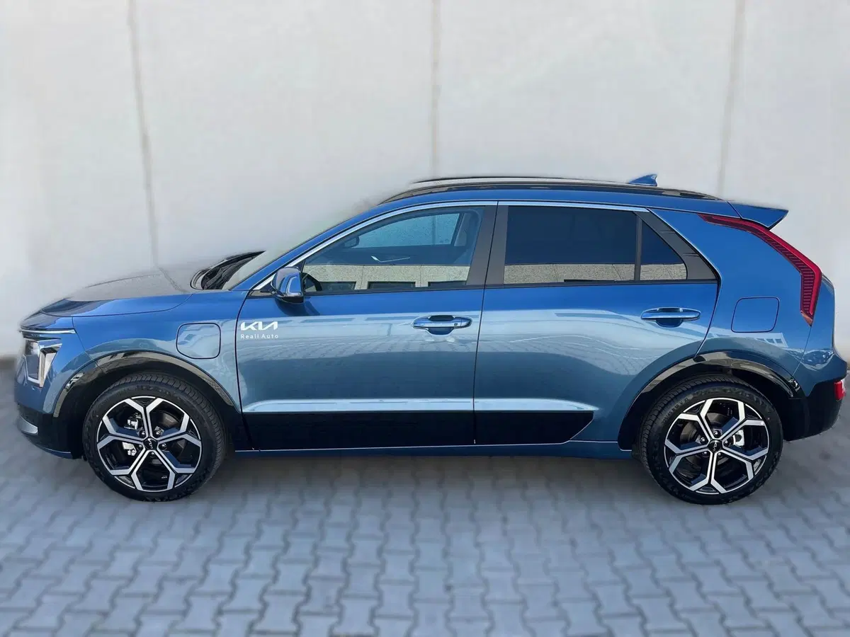 Kia Niro usata a Ferrara (3)