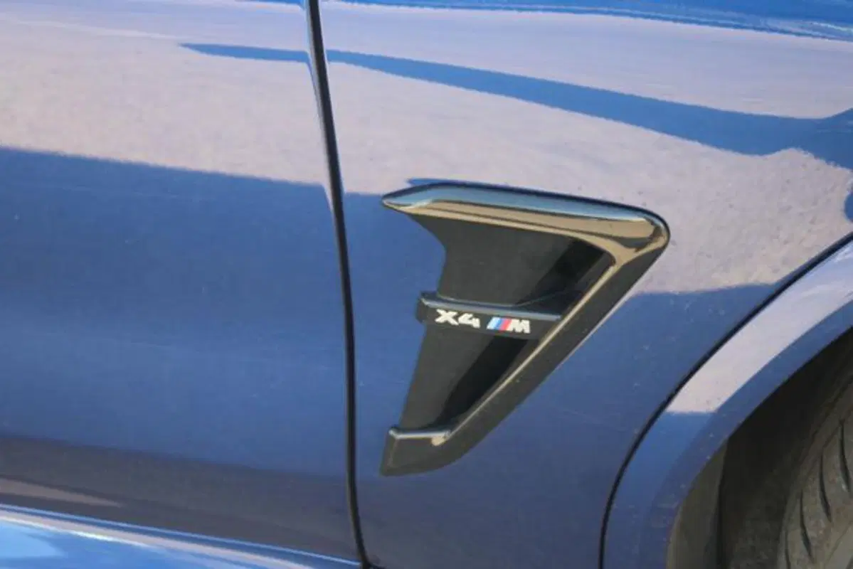 BMW X4 usata a Lecce (4)