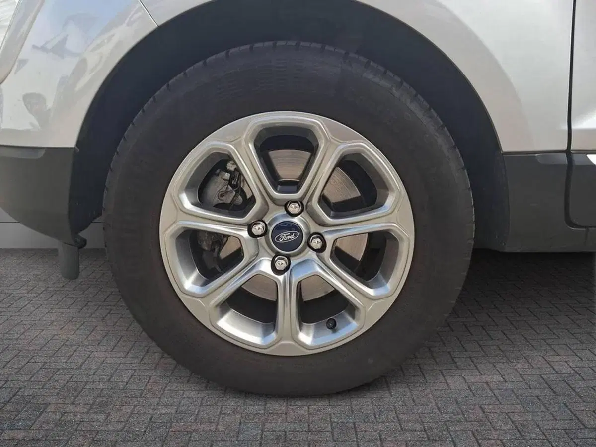 Ford EcoSport usata a Torino (5)