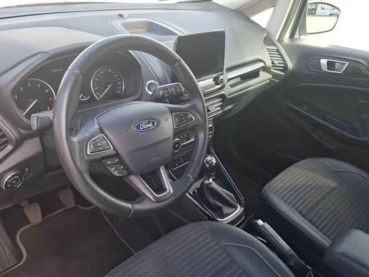 Ford EcoSport usata a Torino (9)