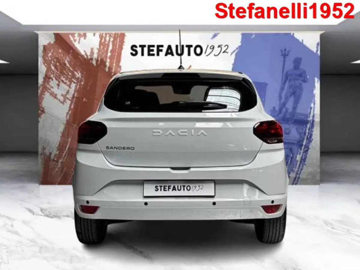 Dacia Sandero Streetway usata a Bologna (6)