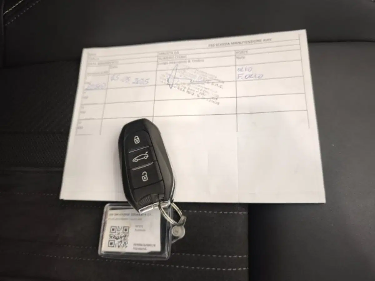 Peugeot 308 SW usata a Firenze (19)