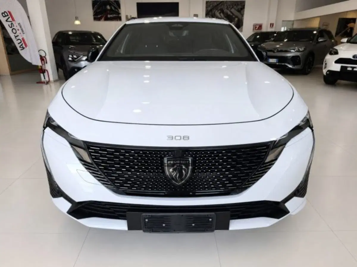 Peugeot 308 SW usata a Firenze (2)
