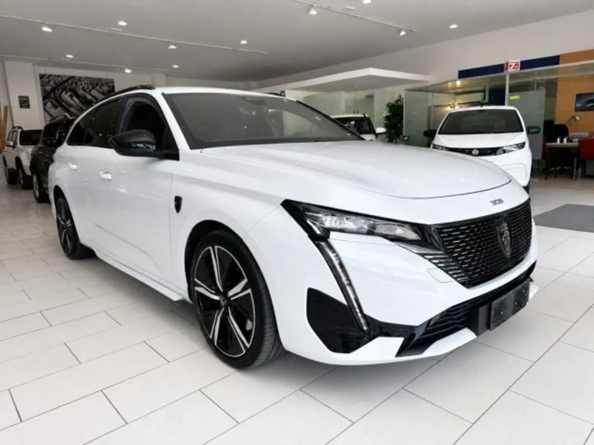 Peugeot 308 SW usata a Firenze (20)