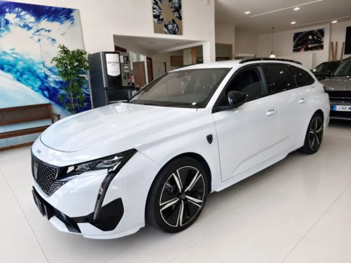 Peugeot 308 SW usata a Firenze (3)