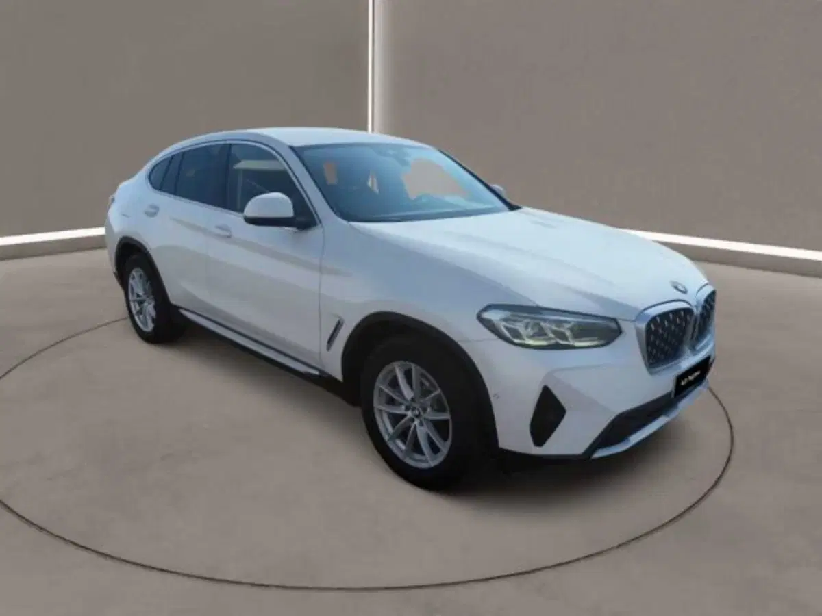 BMW X4 usata a Caltanissetta (13)