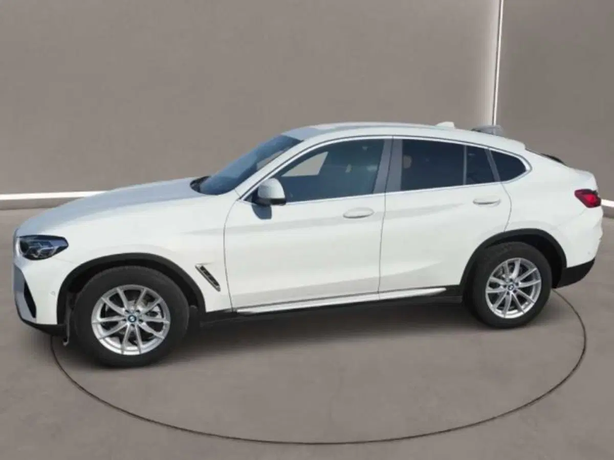 BMW X4 usata a Caltanissetta (8)