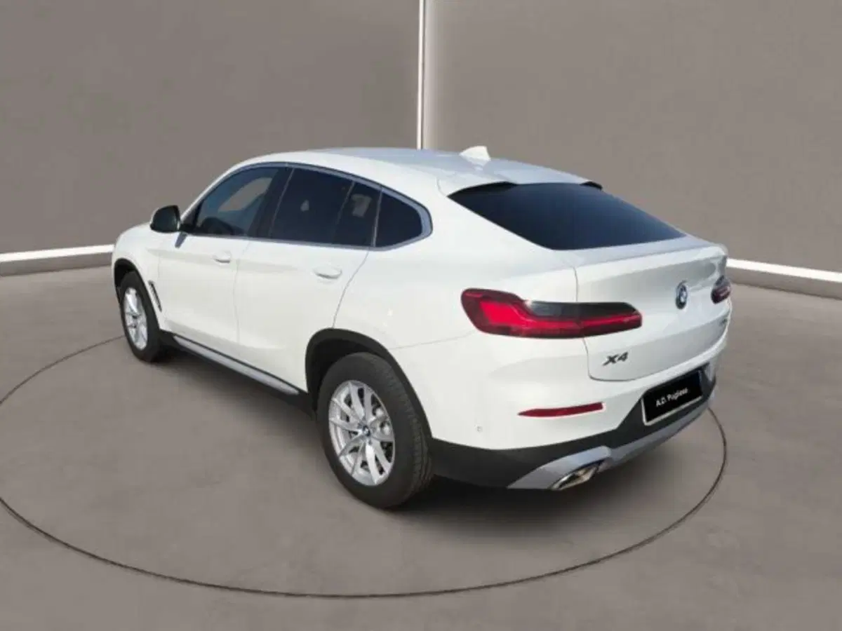 BMW X4 usata a Caltanissetta (9)