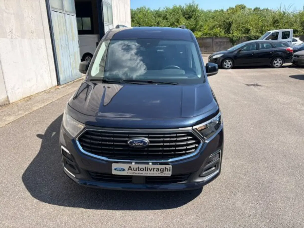 Ford Tourneo Connect usata a Lodi (2)