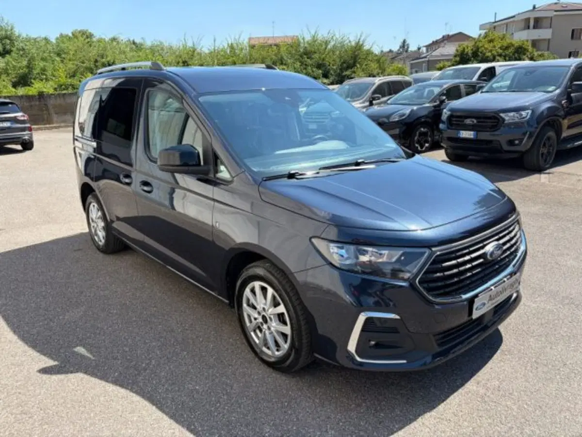Ford Tourneo Connect usata a Lodi (3)