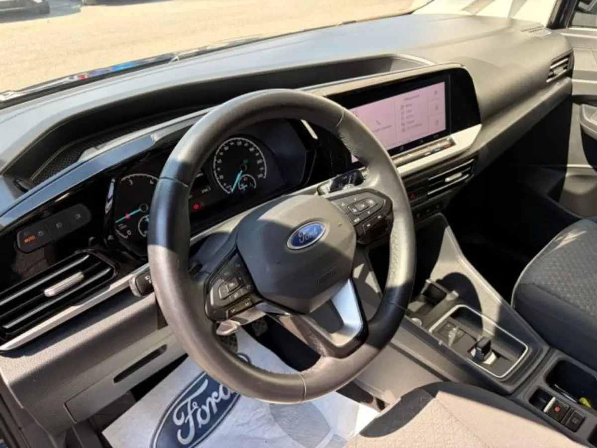 Ford Tourneo Connect usata a Lodi (7)