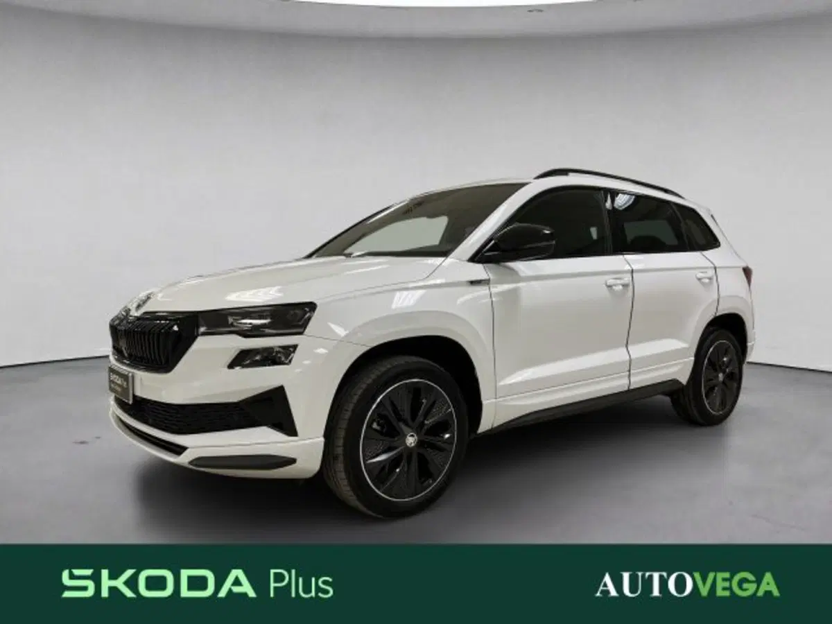 Skoda Karoq usata a Vicenza