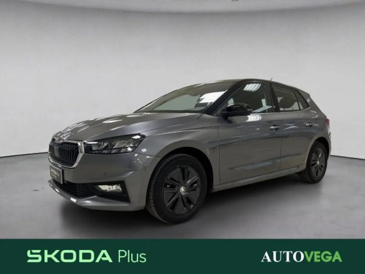 Skoda Fabia usata a Vicenza