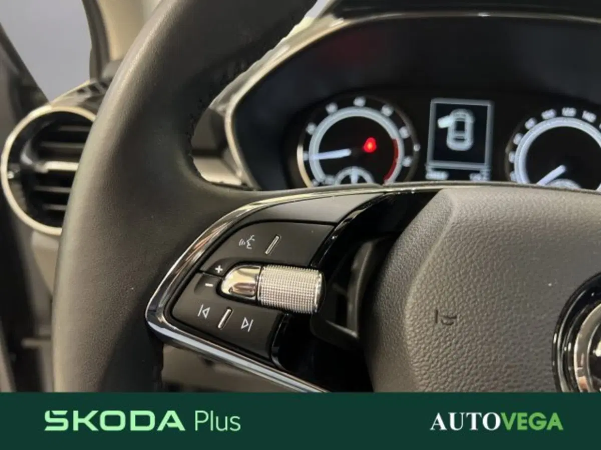 Skoda Fabia usata a Vicenza (16)