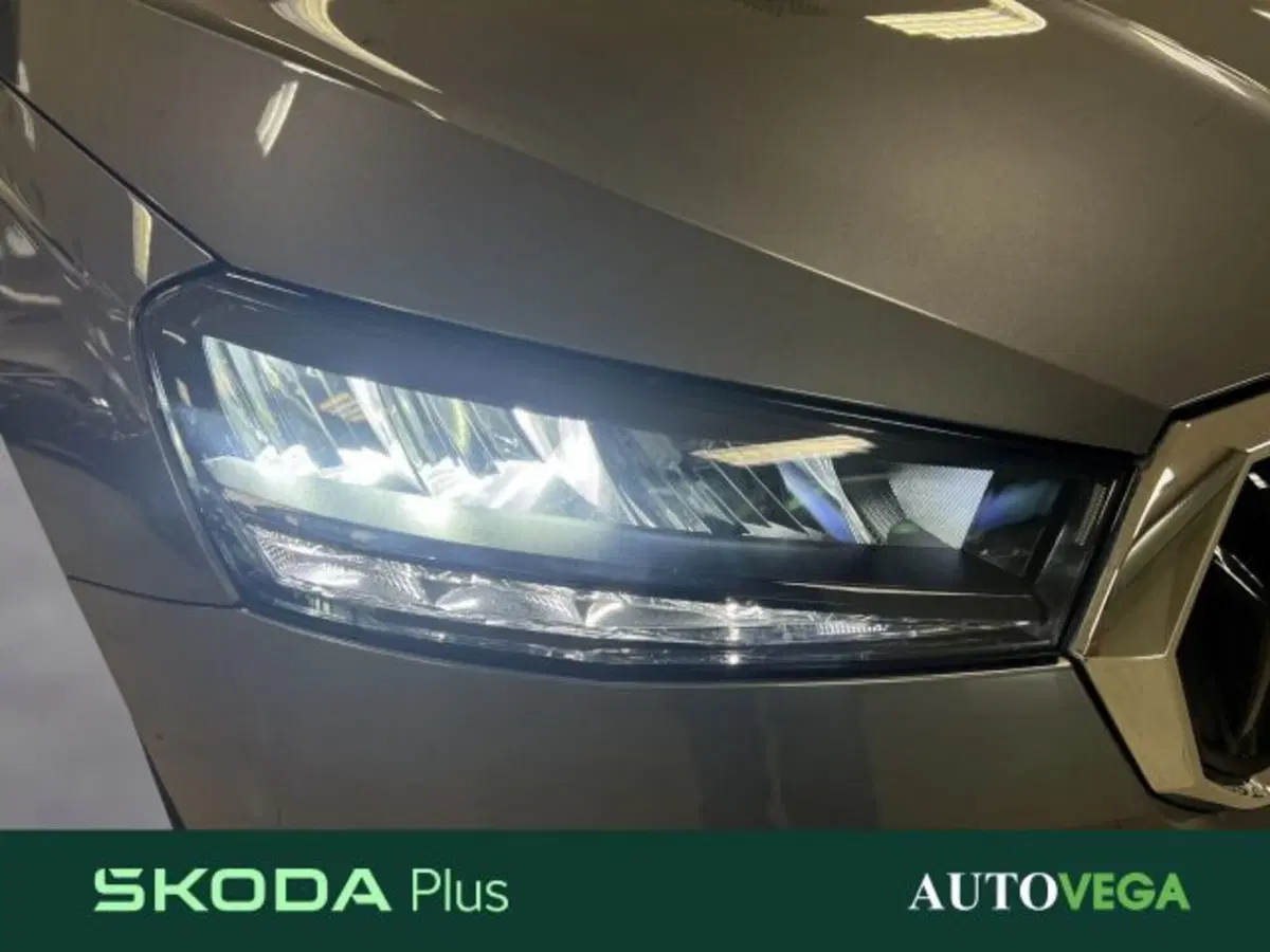 Skoda Fabia usata a Vicenza (19)