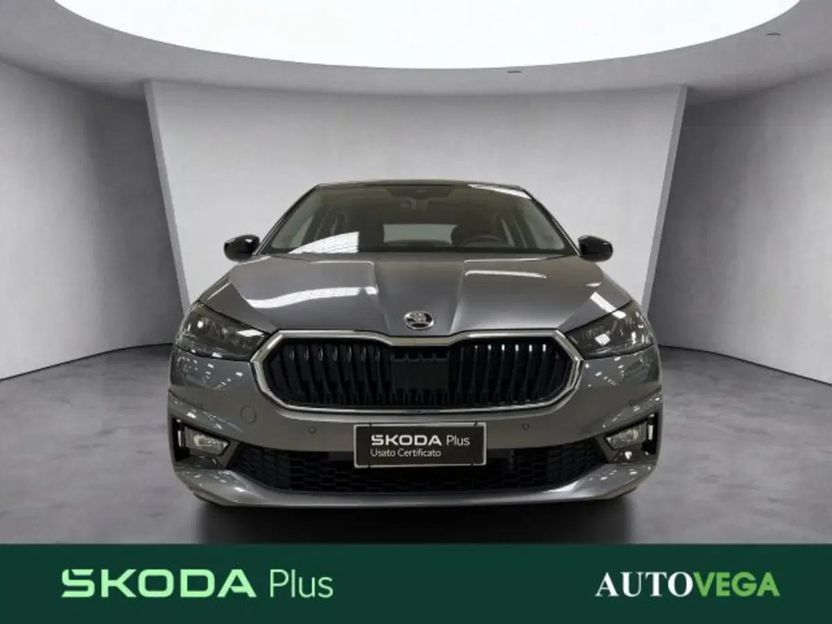Skoda Fabia usata a Vicenza (2)