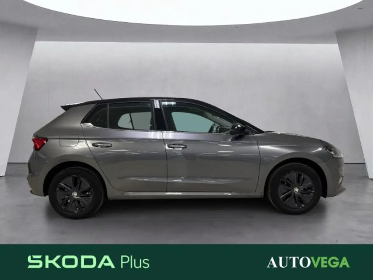 Skoda Fabia usata a Vicenza (3)