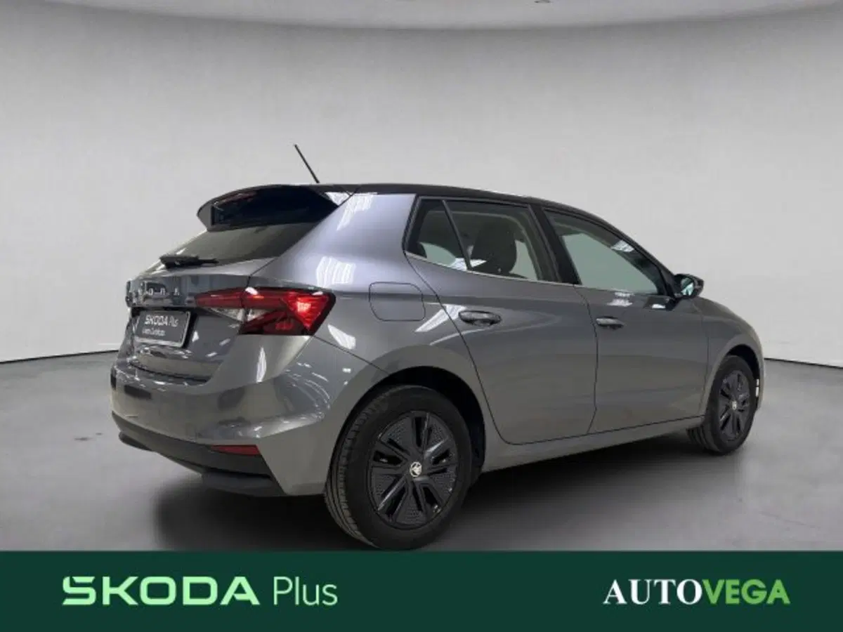 Skoda Fabia usata a Vicenza (4)