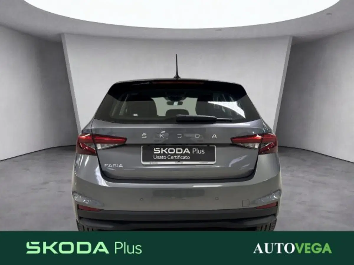Skoda Fabia usata a Vicenza (5)