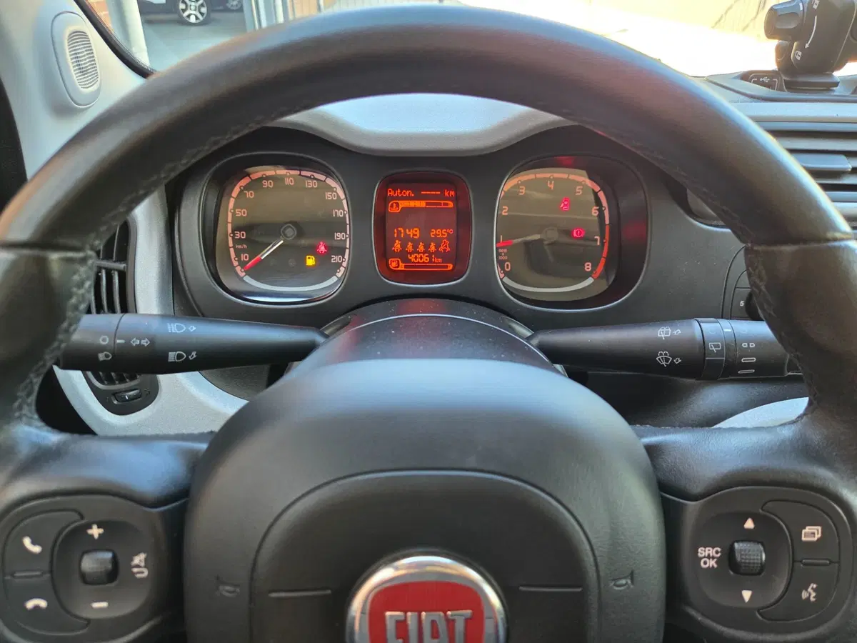 Fiat Panda usata a Torino (12)