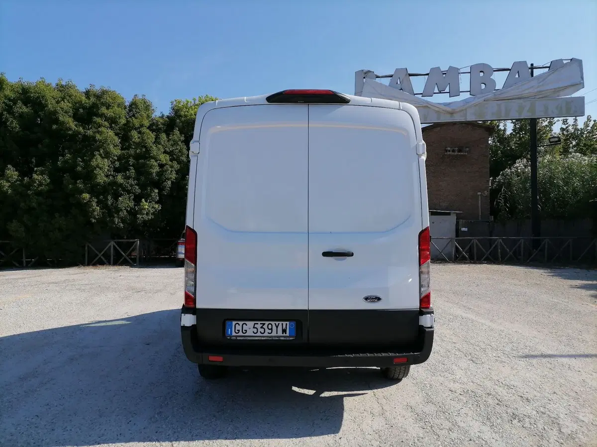 Ford Transit Furgone usata a Roma (4)