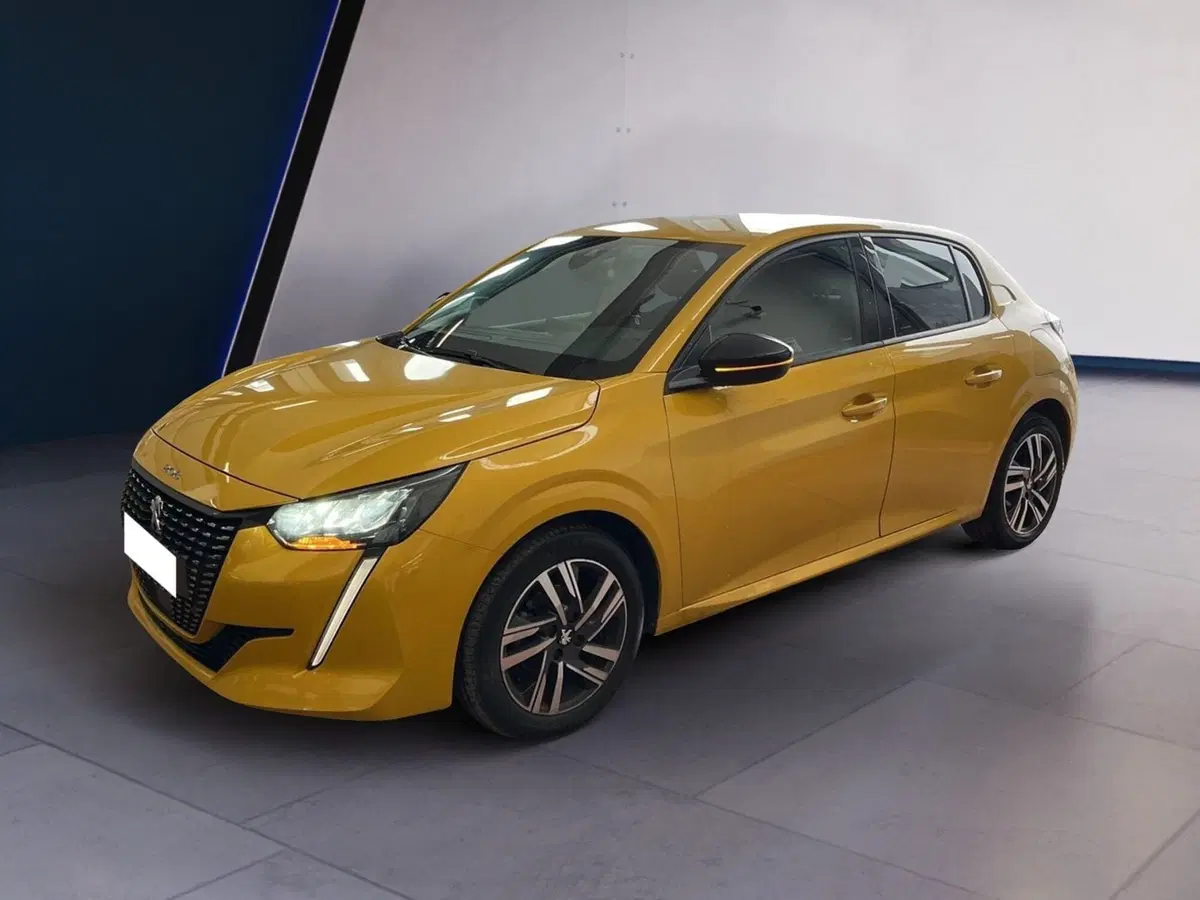 Peugeot 208 usata a Torino (2)