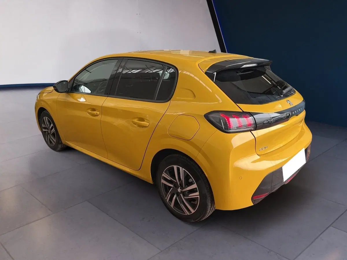 Peugeot 208 usata a Torino (6)