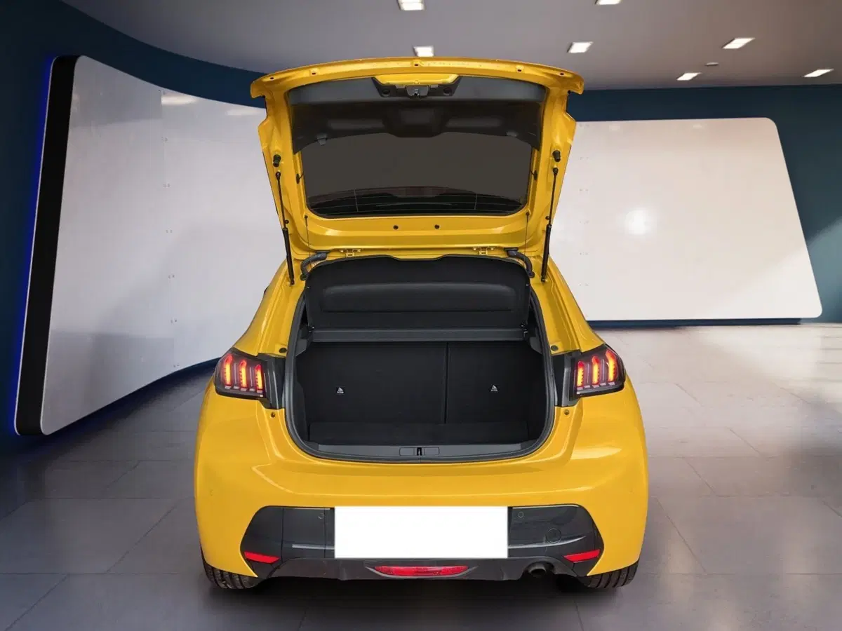 Peugeot 208 usata a Torino (7)