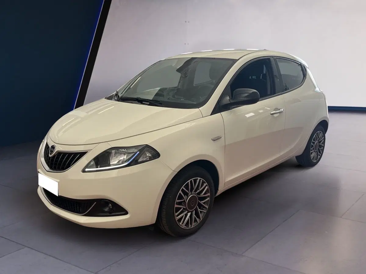 Lancia Ypsilon usata a Torino (3)