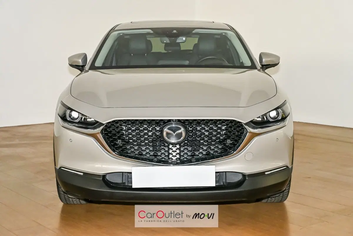 Mazda CX-30 usata a Torino (2)