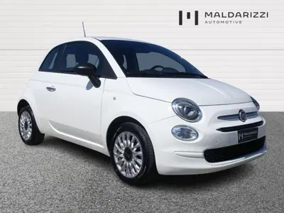 Fiat 500 1.0 Hybrid Cult del 2023 usata a Trani