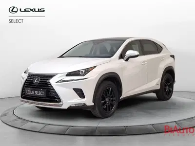 Lexus NX Hybrid 4WD Premium del 2020 usata a Sesto Fiorentino