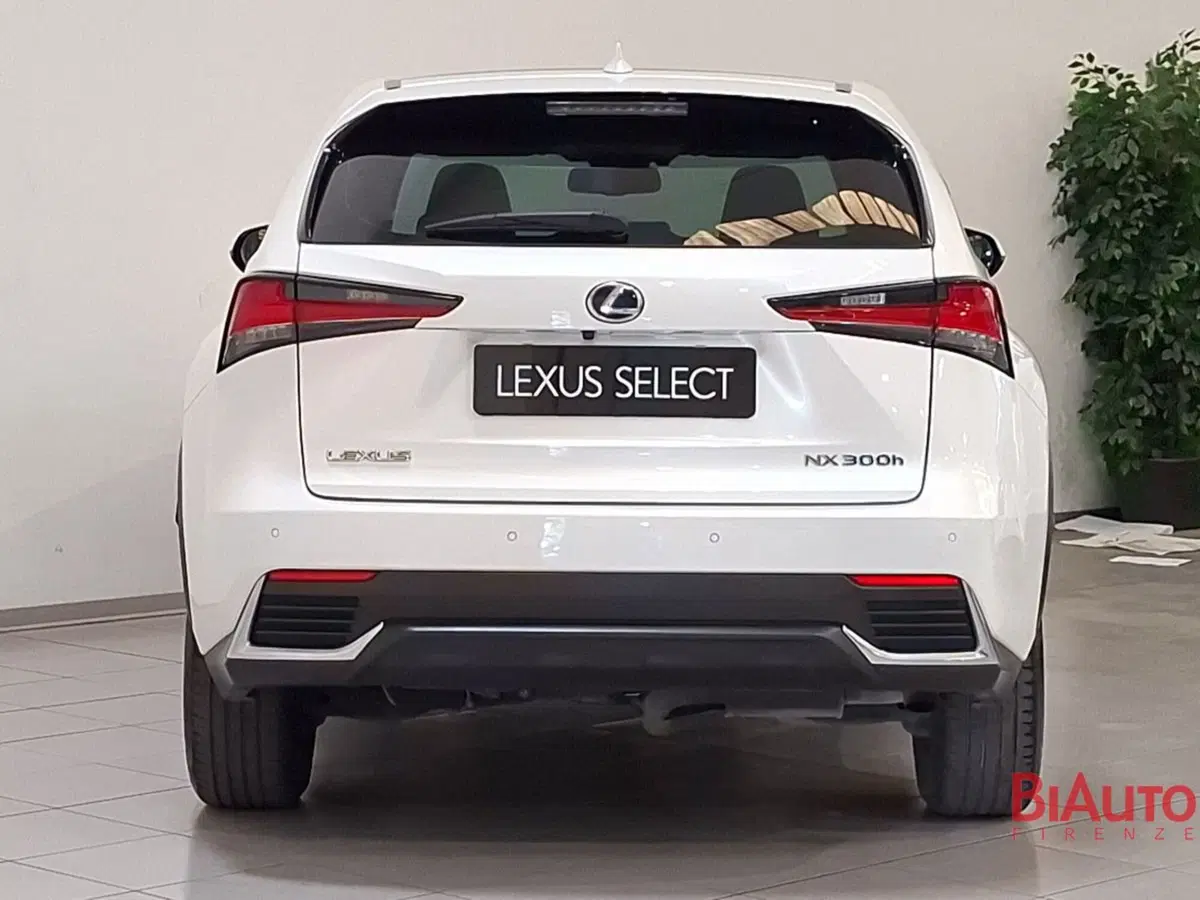 Lexus NX usata a Firenze (12)