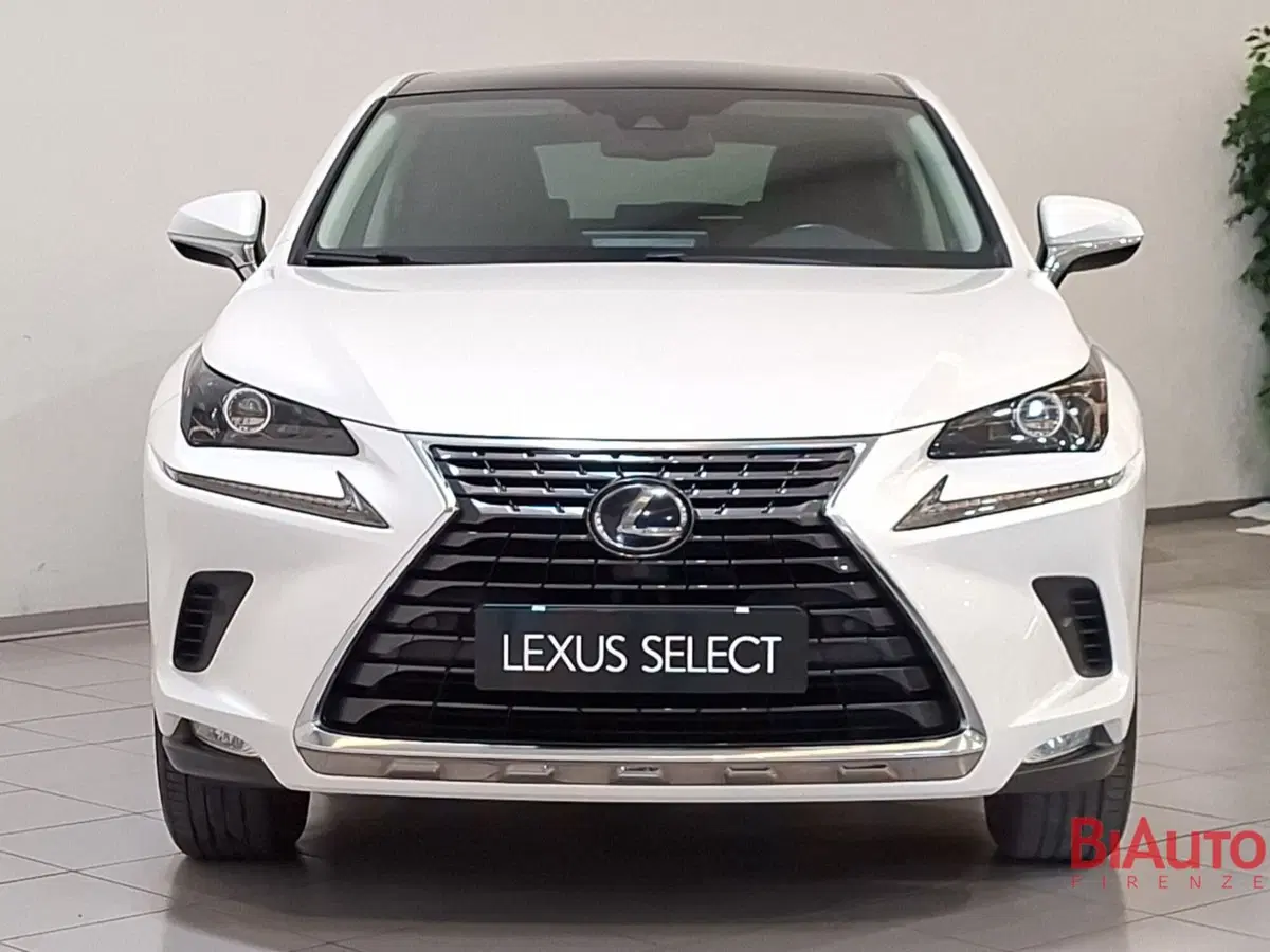 Lexus NX usata a Firenze (13)