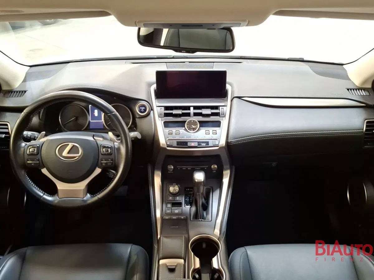 Lexus NX usata a Firenze (15)