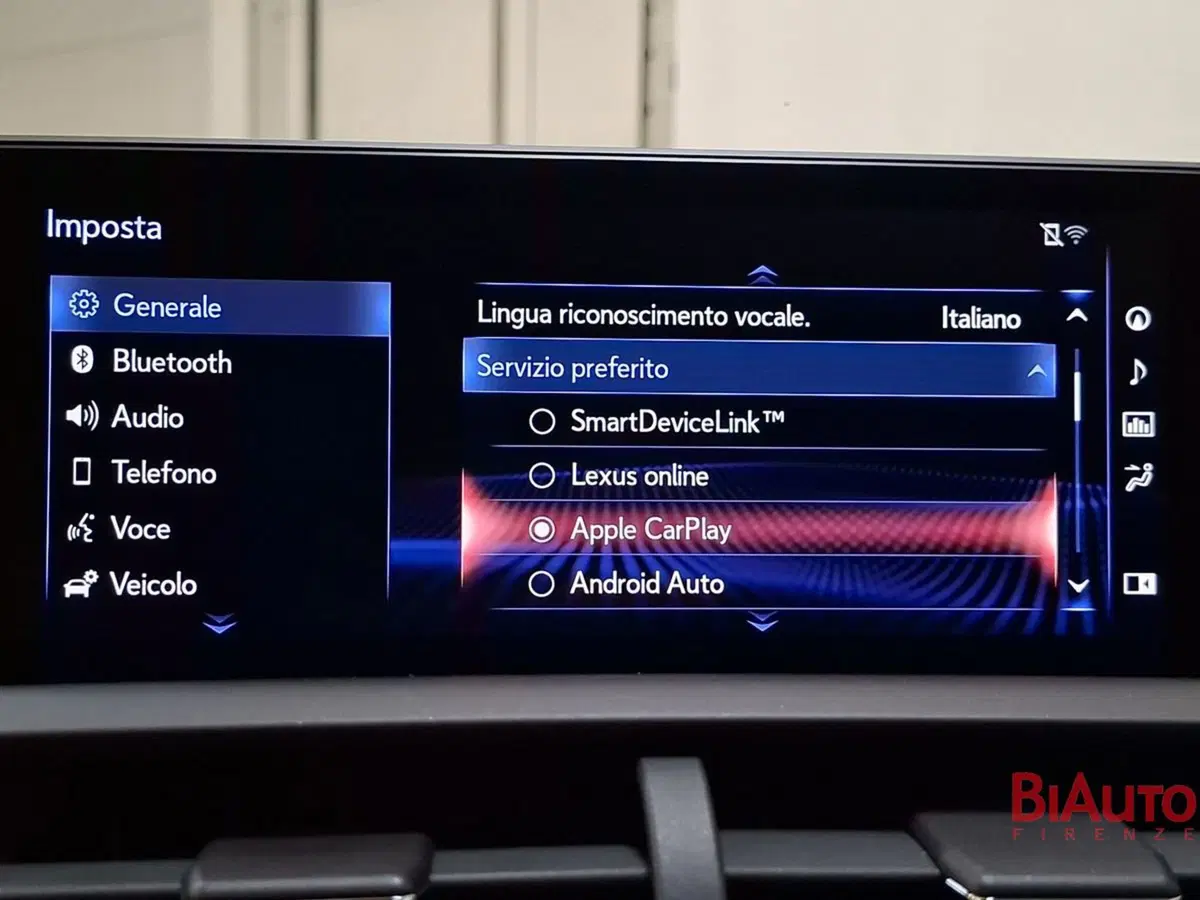 Lexus NX usata a Firenze (16)