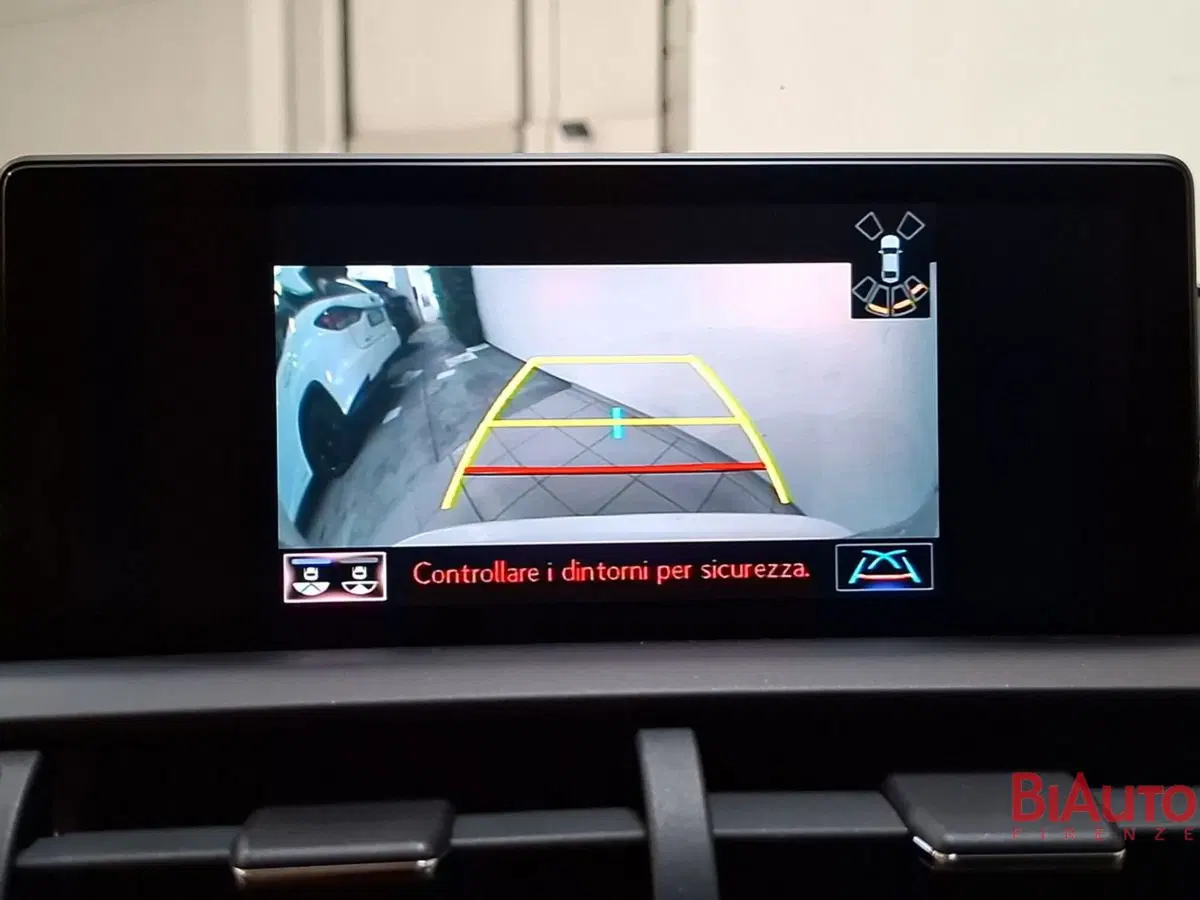 Lexus NX usata a Firenze (17)