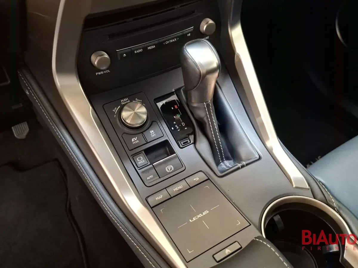 Lexus NX usata a Firenze (18)